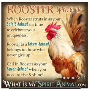 Meet your Posher, Cole